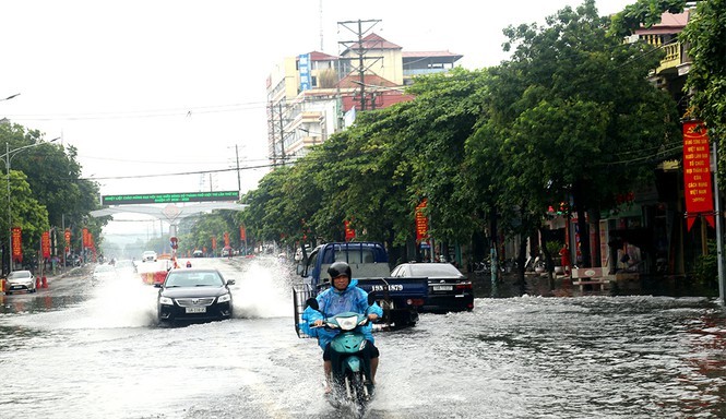 Miền Bắc lại đón thêm đợt mưa lớn từ 20/8. 
