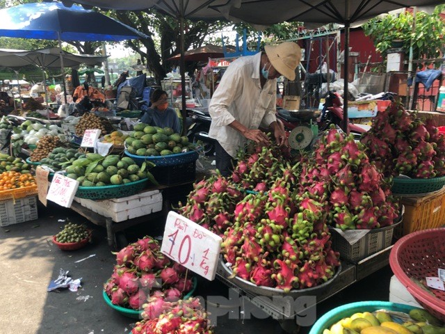 Thanh long ruột đỏ chỉ 10.000 đồng/kg