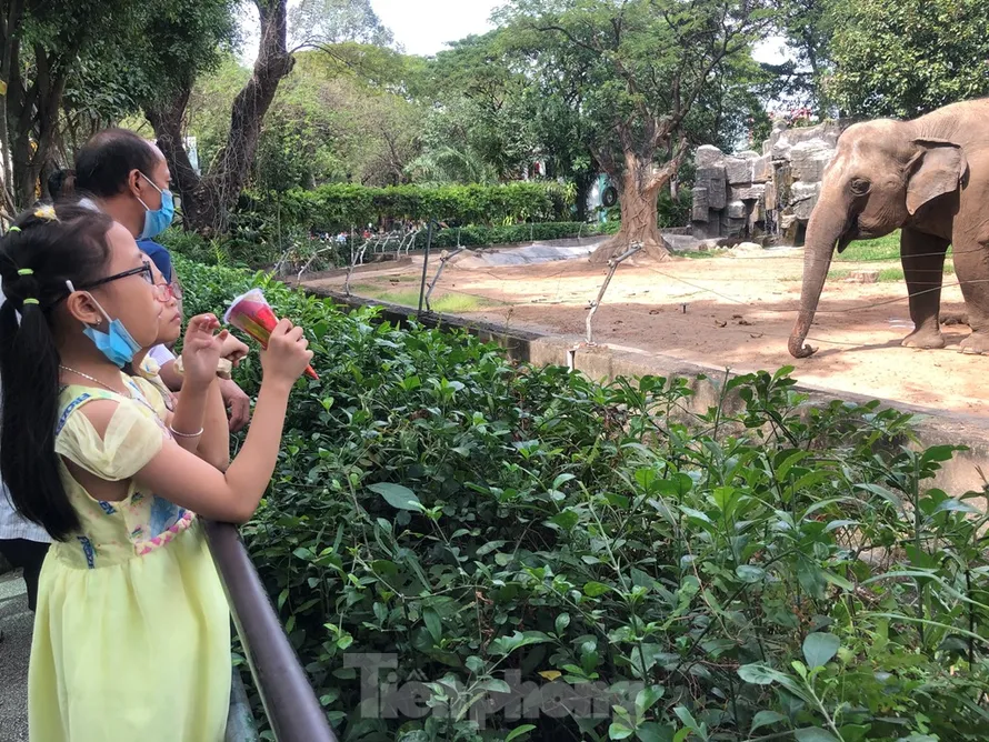 Đến Thảo Cầm Viên vui chơi, người Sài Gòn không dám 'la cà' cả ngày