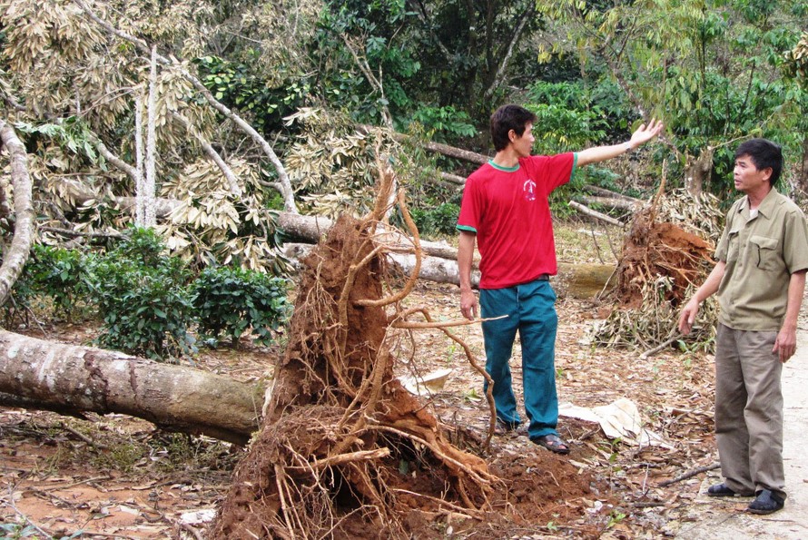 Tin vắn