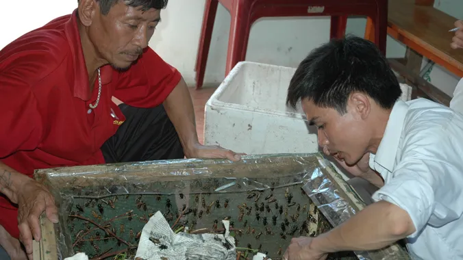 Nguyễn Thế Thắng (áo trắng) đang hướng dẫn cách nuôi dế cho nông dân huyện Cẩm Xuyên (Hà Tĩnh)