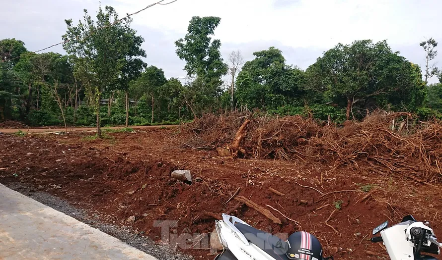 Phân lô bán nền ở gần khu đất rẫy ở xã Cư Suê, huyện Cư Mgar
