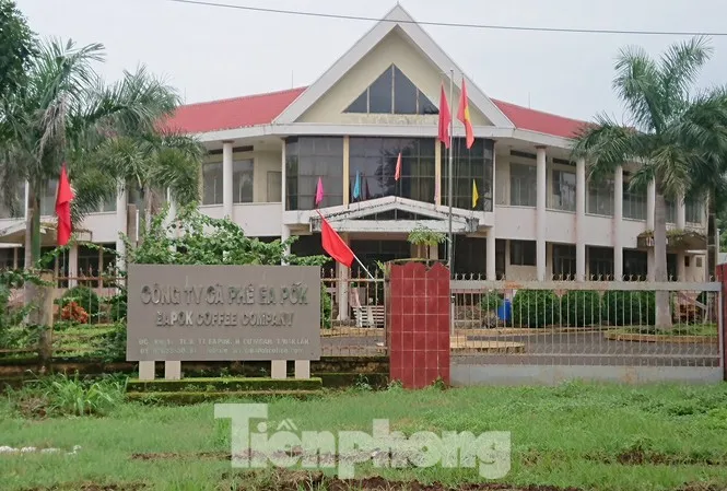 Cty Ea Pốk muốn "nhổ cà phê" làm dự án nhà ở thương mại 