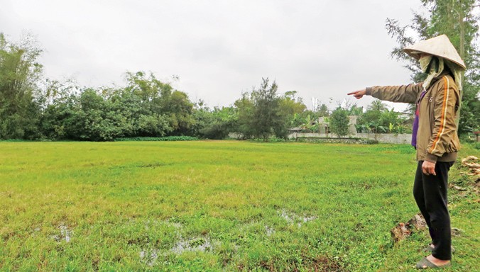 Ruộng bỏ hoang vụ Xuân tại Nghi Lộc, Nghệ An. Ảnh: Việt Hương.