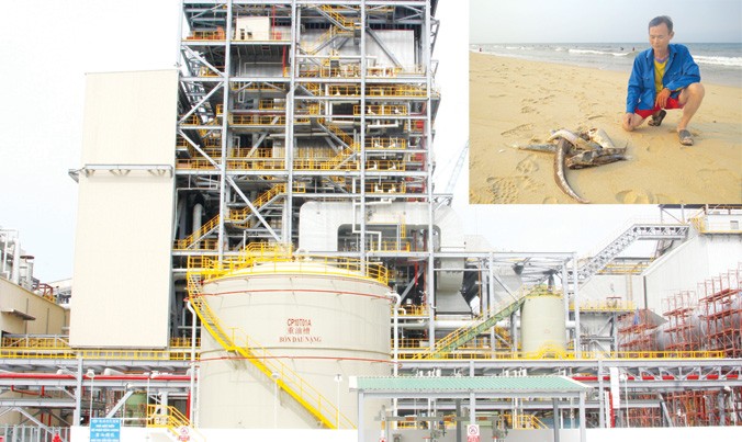 Một góc nhà máy Formosa (ảnh lớn). Ngư dân hoang mang trước việc cá biển chết bất thường (ảnh nhỏ). Ảnh: PV.