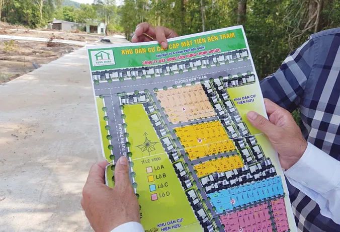 Cò đất hoạt động ngày đêm tại Phú Quốc.