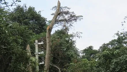 14 triệu đô có thể thành phế liệu: Bí thư tỉnh yêu cầu giải trình