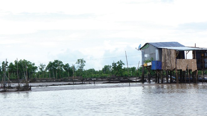 Chòi canh Khu vực nuôi sò huyết thực nghiệm gây tranh cãi.