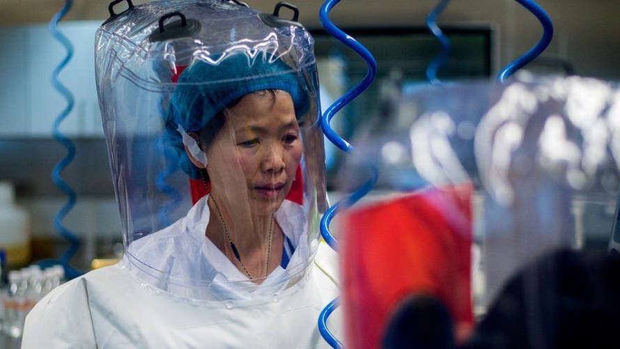 Giáo sư Shi Zhengli 'sẵn sàng mời tất cả các đoàn công tác đến thành phố Vũ Hán'. Ảnh: Getty.