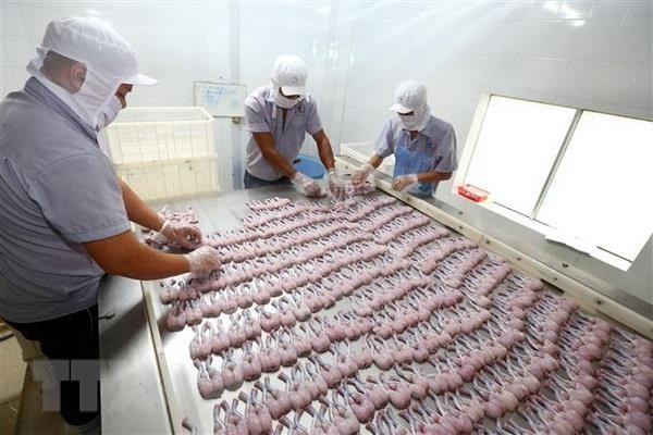 Phát hiện nhiều lô hàng nông, thủy sản Việt Nam vi phạm chất cấm của EU