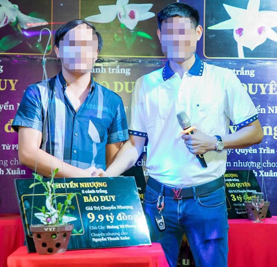 Một vụ chuyển nhượng lan đột biến tiền tỷ