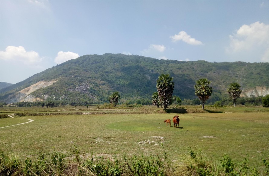 Cánh đồng khô cằn ở huyện Tri Tôn (An Giang) ẢNH: HÒA HỘI
