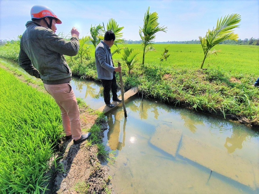 Kênh thủy lợi thấp hơn mặt ruộng