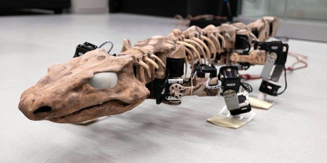 Hoá thạch loài thằn lằn cổ đại được tái sinh dưới dạng robot đặc biệt. 