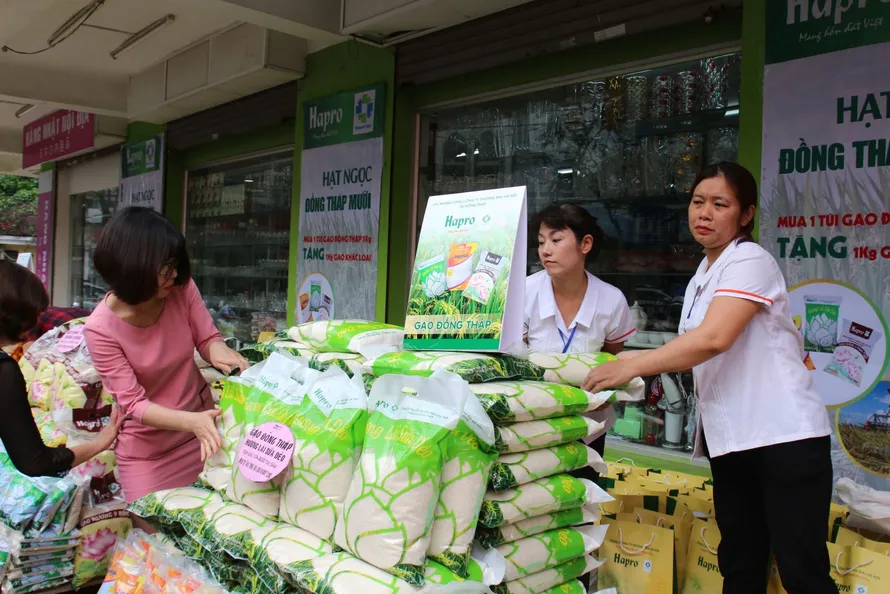 Người dân Thủ đô hào hứng với gạo Đồng Tháp Mười