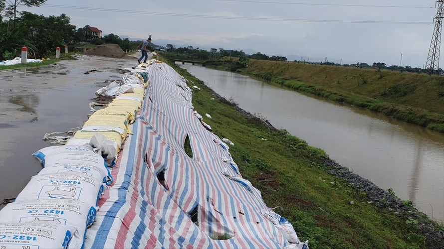 Khắc phục sạt lở bằng cách đóng các bao tải đất để gia cố tuyến đê 