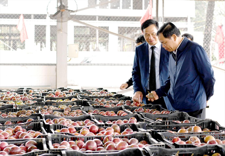 Bộ trưởng NN&PTNT Nguyễn Xuân Cường kiểm tra vùng nguyên liệu và nhà máy chế biến rau quả ở Ninh Bình