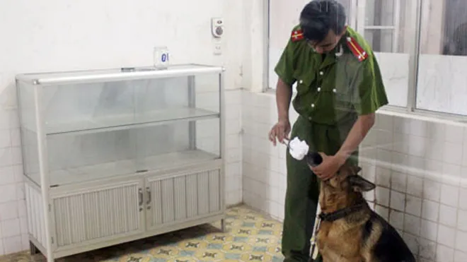 Huấn luyện chó nghiệp vụ giám biệt nguồn hơi là khoa mục chuyên sâu và khó khăn.