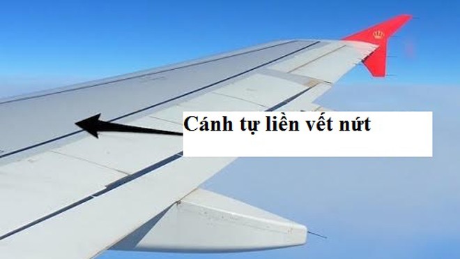 Các nhà khoa học Anh đang chế tạo loại máy bay mới tự liền vết nứt. Đồ họa: Composites Today