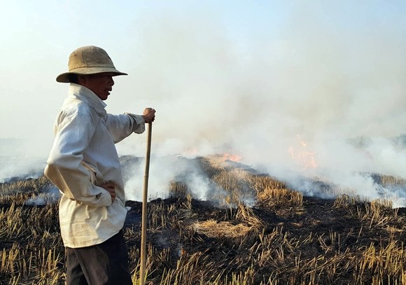 Đốt rơm rạ: Lãng phí tài nguyên, ô nhiễm môi trường