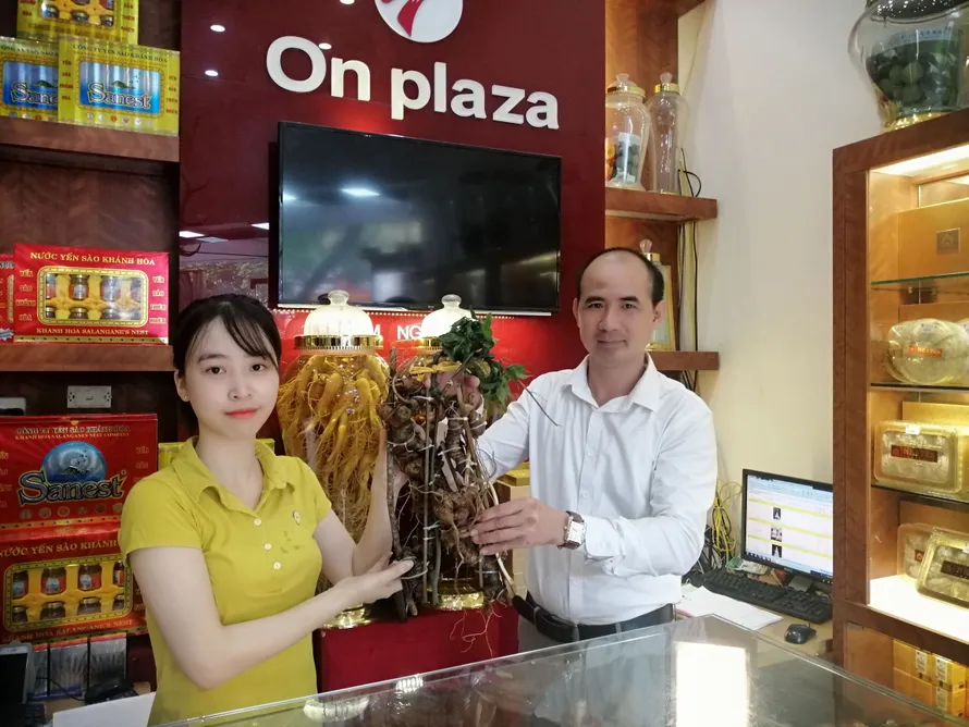 Doanh nhân dinh dưỡng chọn sâm Ngọc Linh làm quà đặc biệt tặng đối tác 