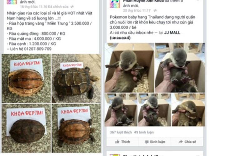Khóa các tài khoản facebook chia sẻ hình ảnh động vật 