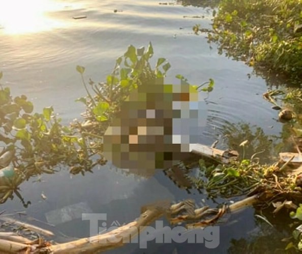 Phát hiện thi thể trôi trên sông lúc đánh cá