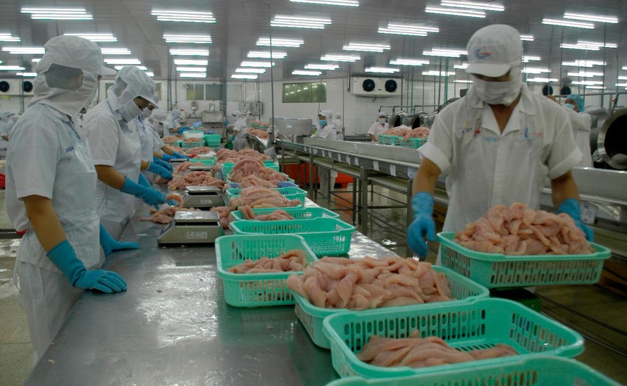 Nhiều doanh nghiệp đang trụ lại đã giảm tối đa công suất. Ảnh: Cảnh Kỳ
