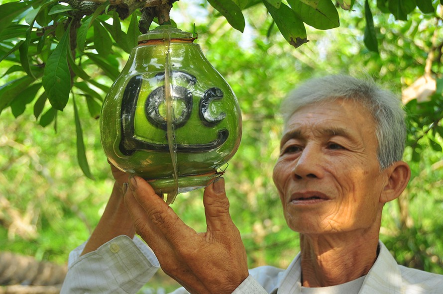 Đào tiên hồ lô 'độc nhất vô nhị' ở miền Tây