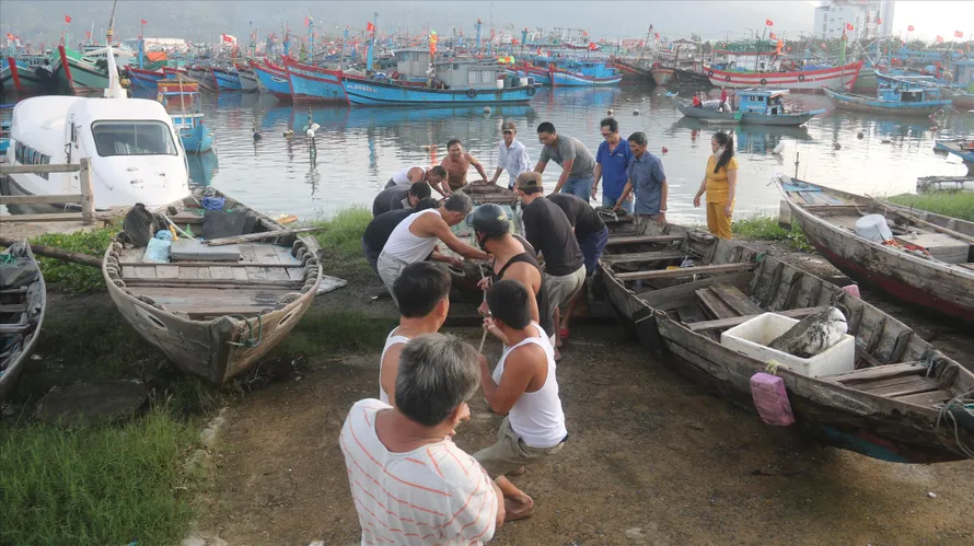Công tác neo đậu tàu thuyền tránh bão số 13 được Đà Nẵng triển khai khẩn trương Ảnh: Nguyễn Thành
