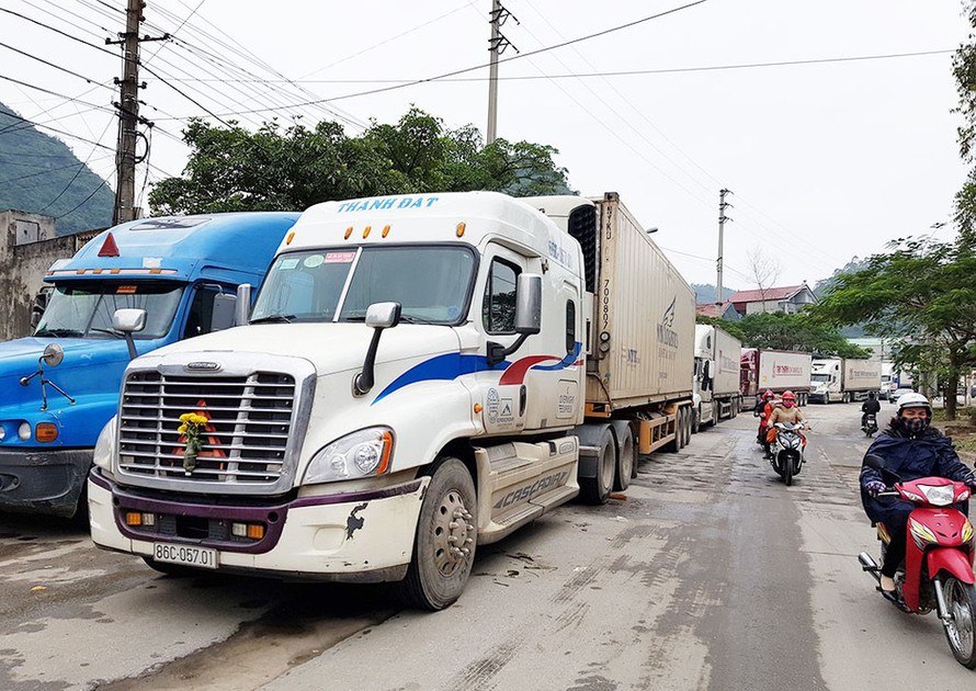 Để giữ khách trong bối cảnh thị trường cạnh tranh gay gắt, các doanh nghiệp vận tải không dám tăng giá cước dù giá xăng dầu tăng mạnh.