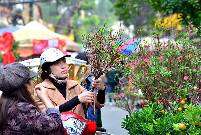 Hàng không, đường sắt cùng ‘bung’ vé Tết Canh Tý 2020