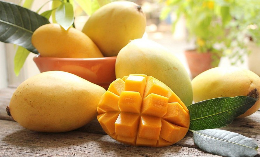 Trái Cây Nhiệt Đới 