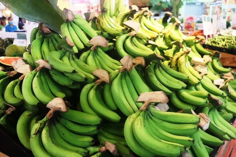 Đặc sản chuối già lùn vùng cao A Lưới lần đầu tiên lên kệ siêu thị hiện đại Big C