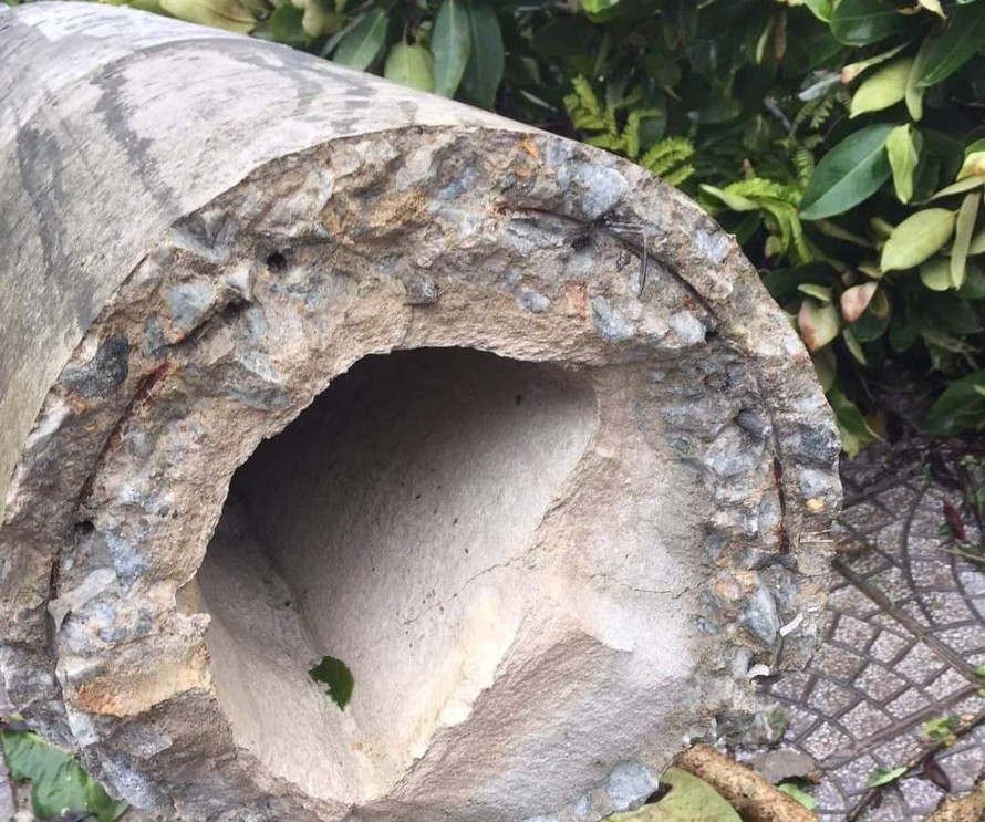 Cột điện bê tông ly tâm dự ứng lực "bảo đảm tiêu chuẩn" bị đứt lìa do bão số 5 (bão cấp 8) tại TT-Huế.