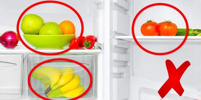 Thực phẩm thừa đặt trong môi trường tủ lạnh sẽ tạo điều kiện thuận lợi cho vi khuẩn và nấm mốc phát triển