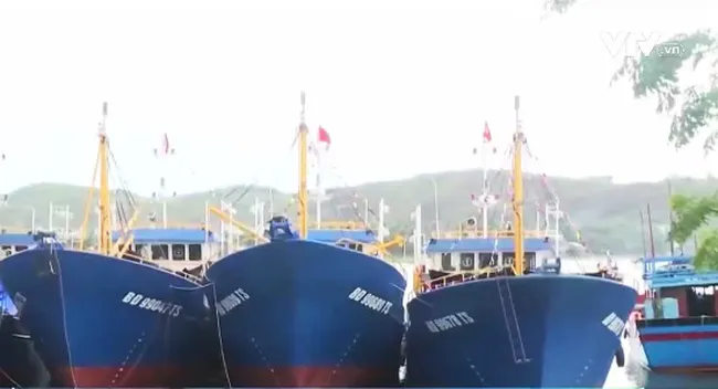 Phó Thủ tướng yêu cầu kiểm tra các cơ sở đóng mới tàu cá vỏ thép