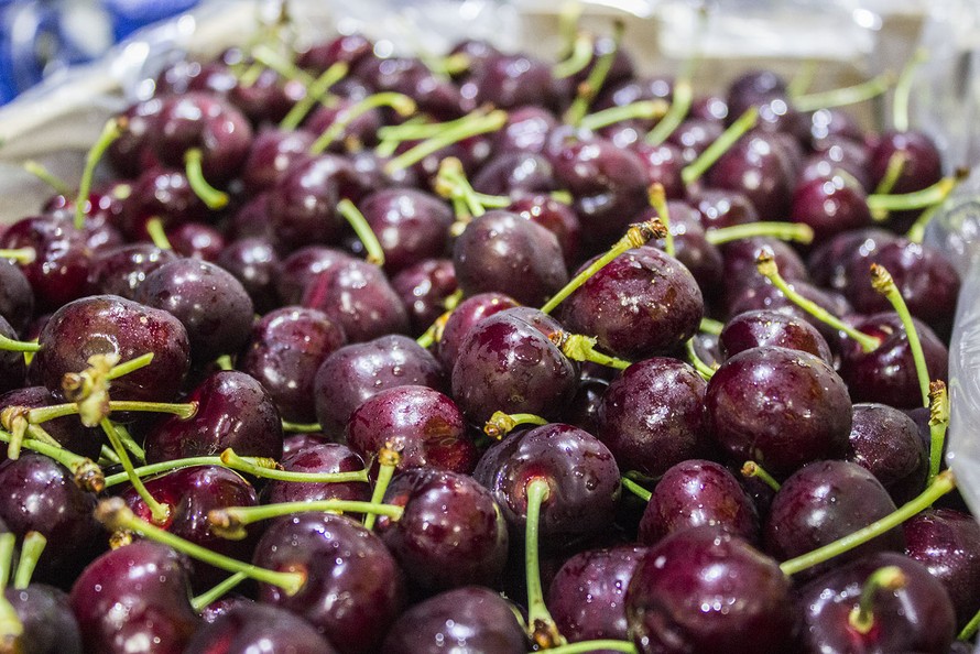 Cherry Mỹ về Việt Nam giảm đến 40% so với năm ngoái