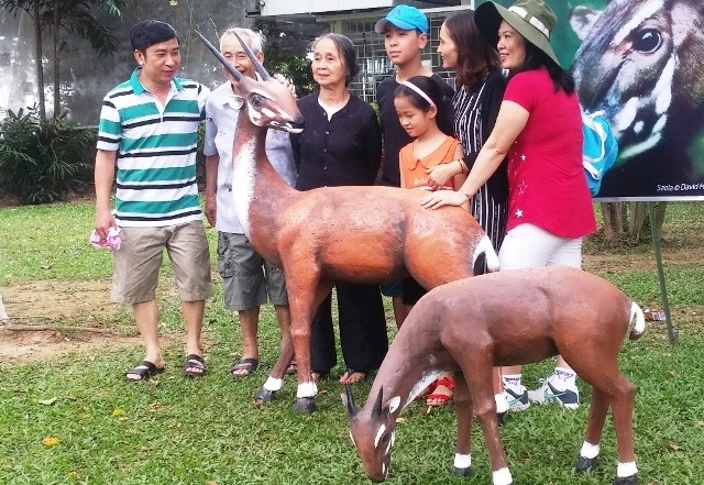 Du khách đến Huế dịp Festival Huế 2016 hứng thú chụp hình bên những chú Sao la mô phỏng với tỷ lệ như thật. Ảnh: Ngọc Văn 