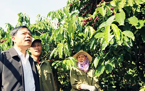 Bộ trưởng tham quan mô hình trồng cà phê chất lượng cao ở Lâm Đồng
