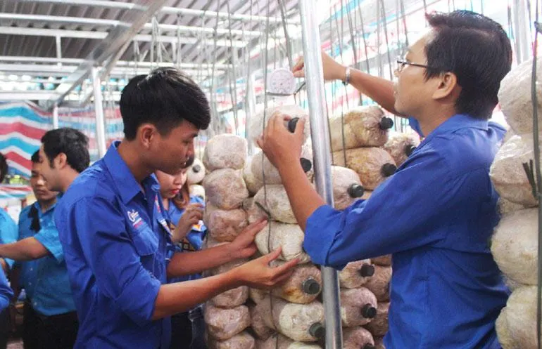 Thanh niên đang rất cần hỗ trợ nguồn vốn để phát triển kinh tế ở các địa phương.