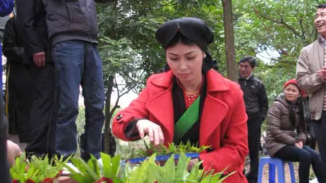 Một liền chị têm trầu cánh phượng. Ảnh: nguyễn trường