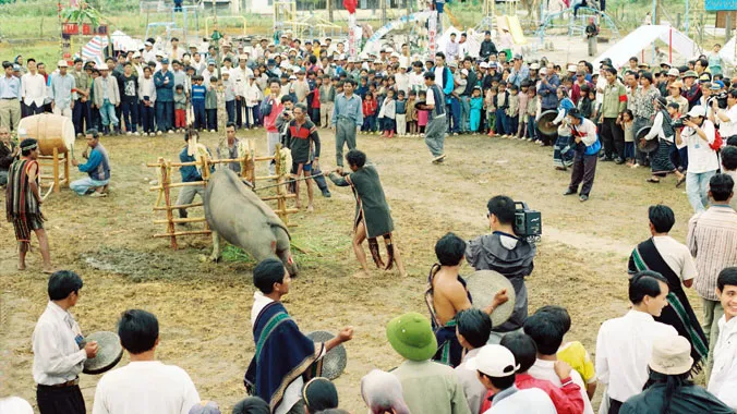 Lễ hội đâm trâu. ảnh: H.H.N