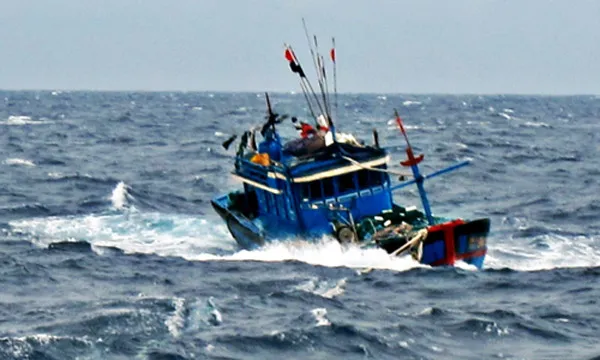 Ảnh minh họa