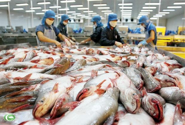 Lưu ý các đơn hàng thủy sản xuất sang Brazil
