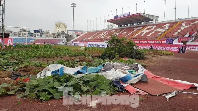 "Vườn rau" này trong sân Lạch Tray đã được dọn sạch sau khi báo chí lên tiếng về chất lượng sân.