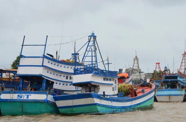 Tàu cá vào neo đậu ở cảng Trần Đề, Sóc Trăng.