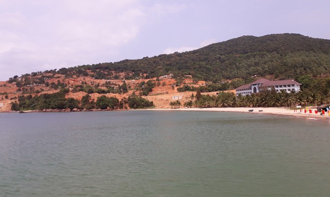 Theo Chủ tịch Hiệp hội Du lịch Đà Nẵng Huỳnh Tấn Vinh, bán đảo Sơn Trà cần phải được phát triển du lịch để không bị bỏ phí. Song phải phát triển theo hướng du lịch sinh thái bền vững. 