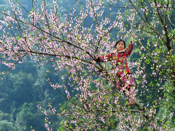 Những mốc thời gian hạnh phúc: Tết ngoài vườn, trên nương trên rẫy