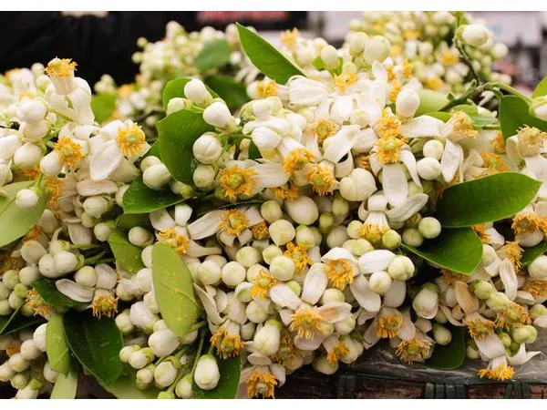 Những mốc thời gian hạnh phúc: Mưa phùn tháng Ba